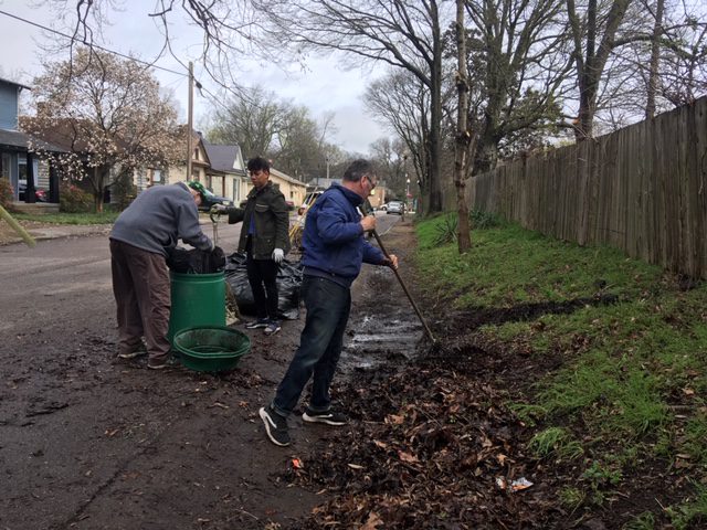 Anonymous grant makes garden club’s Bruce spruce possible